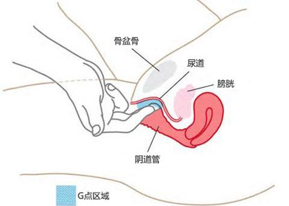 女性G点