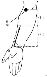 尺泽穴