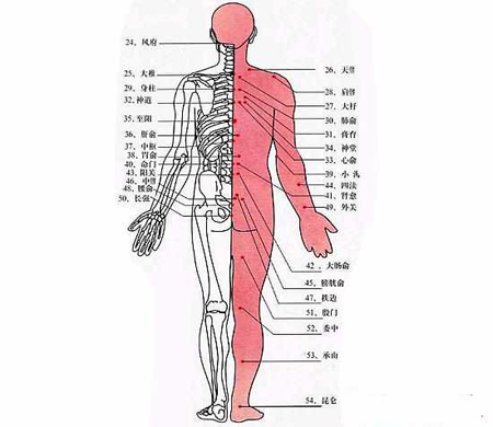人体经络图