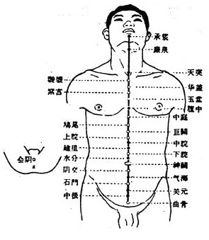 人体经络图的组成