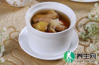 天麻炖鸽子