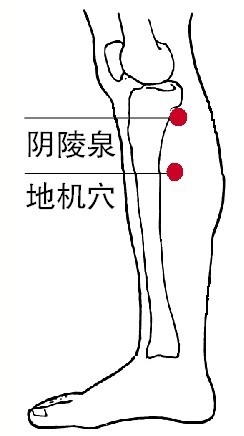 刮痧养生