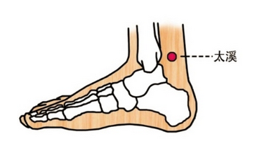 太溪穴